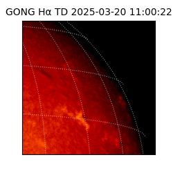 gong - 2025-03-20T11:00:22