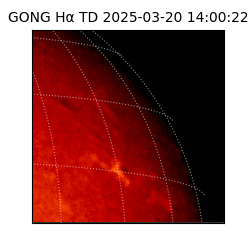 gong - 2025-03-20T14:00:22