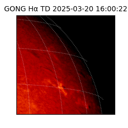 gong - 2025-03-20T16:00:22