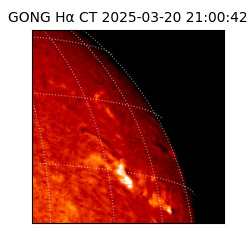 gong - 2025-03-20T21:00:42