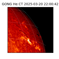 gong - 2025-03-20T22:00:42