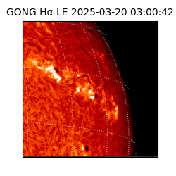 gong - 2025-03-20T03:00:42