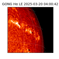 gong - 2025-03-20T04:00:42