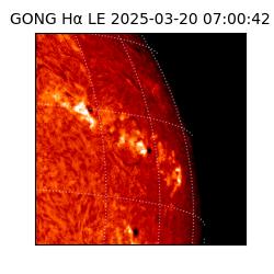 gong - 2025-03-20T07:00:42