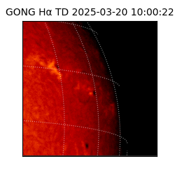 gong - 2025-03-20T10:00:22