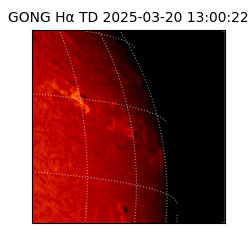 gong - 2025-03-20T13:00:22