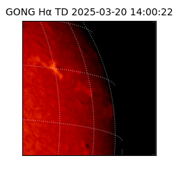 gong - 2025-03-20T14:00:22