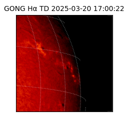gong - 2025-03-20T17:00:22
