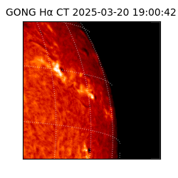 gong - 2025-03-20T19:00:42