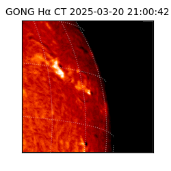 gong - 2025-03-20T21:00:42