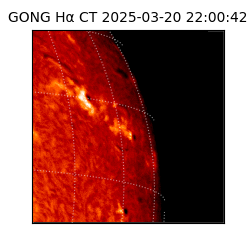 gong - 2025-03-20T22:00:42