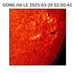 gong - 2025-03-20T02:00:42