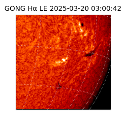 gong - 2025-03-20T03:00:42