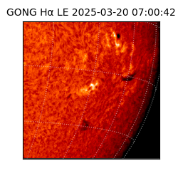 gong - 2025-03-20T07:00:42
