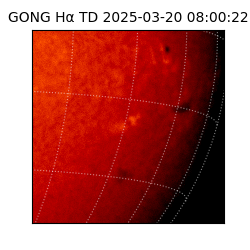 gong - 2025-03-20T08:00:22