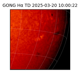 gong - 2025-03-20T10:00:22