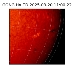 gong - 2025-03-20T11:00:22