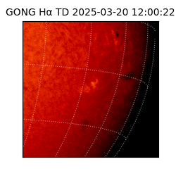 gong - 2025-03-20T12:00:22
