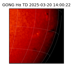 gong - 2025-03-20T14:00:22