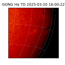 gong - 2025-03-20T16:00:22