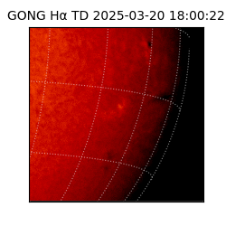 gong - 2025-03-20T18:00:22