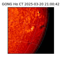 gong - 2025-03-20T21:00:42