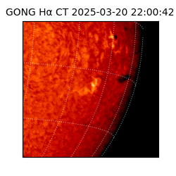 gong - 2025-03-20T22:00:42