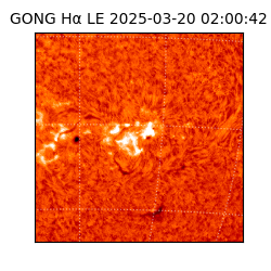 gong - 2025-03-20T02:00:42