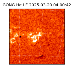 gong - 2025-03-20T04:00:42