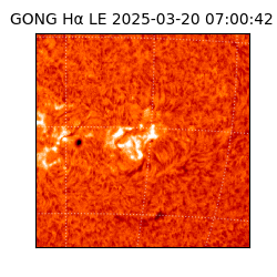 gong - 2025-03-20T07:00:42