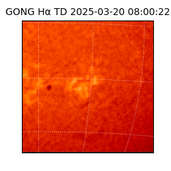 gong - 2025-03-20T08:00:22