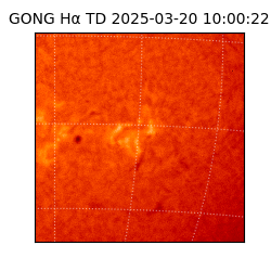 gong - 2025-03-20T10:00:22