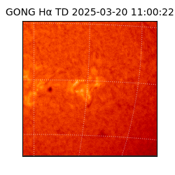 gong - 2025-03-20T11:00:22
