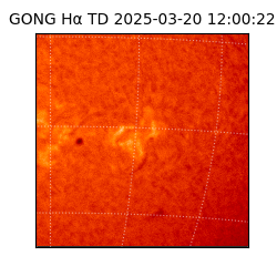 gong - 2025-03-20T12:00:22