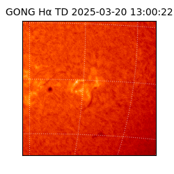 gong - 2025-03-20T13:00:22
