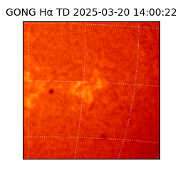 gong - 2025-03-20T14:00:22