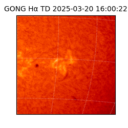 gong - 2025-03-20T16:00:22