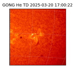 gong - 2025-03-20T17:00:22