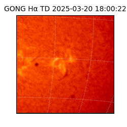 gong - 2025-03-20T18:00:22