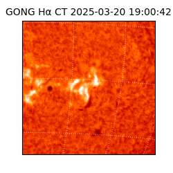 gong - 2025-03-20T19:00:42