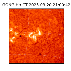 gong - 2025-03-20T21:00:42