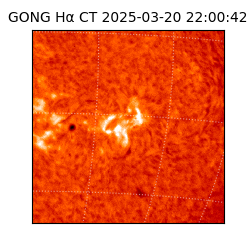 gong - 2025-03-20T22:00:42