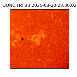 gong - 2025-03-20T23:00:02