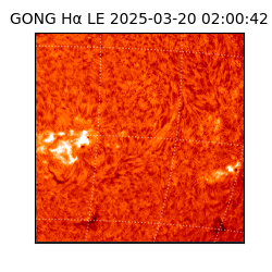 gong - 2025-03-20T02:00:42