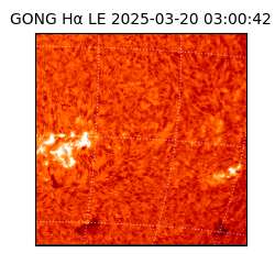 gong - 2025-03-20T03:00:42