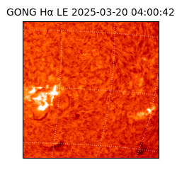 gong - 2025-03-20T04:00:42