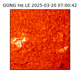 gong - 2025-03-20T07:00:42