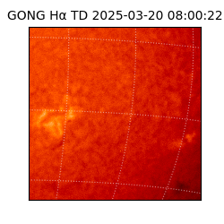 gong - 2025-03-20T08:00:22