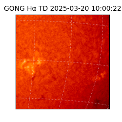 gong - 2025-03-20T10:00:22