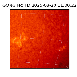 gong - 2025-03-20T11:00:22